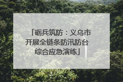 砺兵筑防：义乌市开展全链条防汛防台综合应急演练