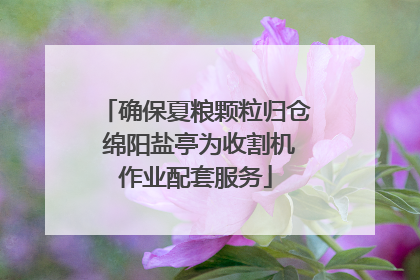 确保夏粮颗粒归仓 绵阳盐亭为收割机作业配套服务