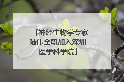神经生物学专家陆伟全职加入深圳医学科学院
