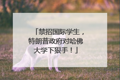 禁招国际学生，特朗普政府对哈佛大学下狠手！