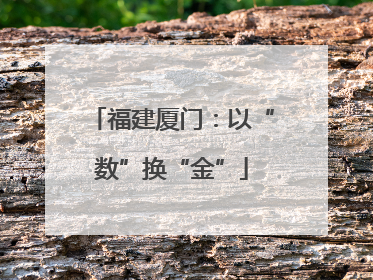 福建厦门：以“数”换“金”