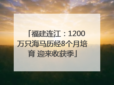 福建连江：1200万只海马历经8个月培育 迎来收获季