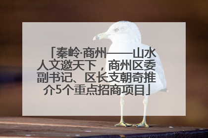 秦岭·商州——山水人文邀天下，商州区委副书记、区长支朝奇推介5个重点招商项目