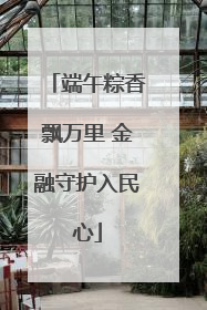 端午粽香飘万里 金融守护入民心
