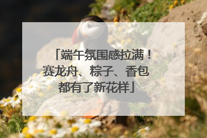 端午氛围感拉满！赛龙舟、粽子、香包都有了新花样