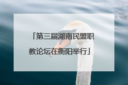 第三届湖南民盟职教论坛在衡阳举行
