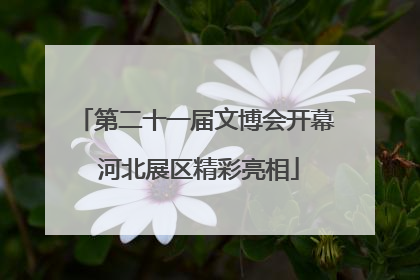 第二十一届文博会开幕 河北展区精彩亮相