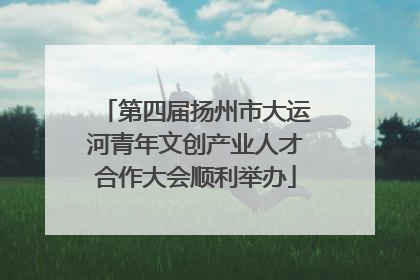 第四届扬州市大运河青年文创产业人才合作大会顺利举办