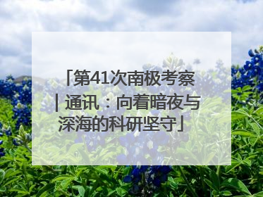 第41次南极考察｜通讯：向着暗夜与深海的科研坚守