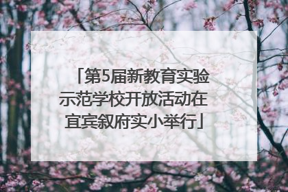 第5届新教育实验示范学校开放活动在宜宾叙府实小举行
