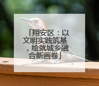 翔安区：以文明实践筑基，绘就城乡融合新画卷
