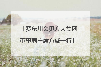 罗东川会见方大集团董事局主席方威一行
