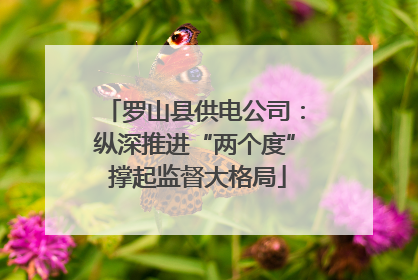 罗山县供电公司：纵深推进“两个度” 撑起监督大格局