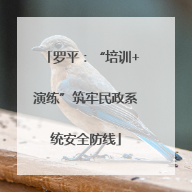 罗平：“培训+演练”筑牢民政系统安全防线