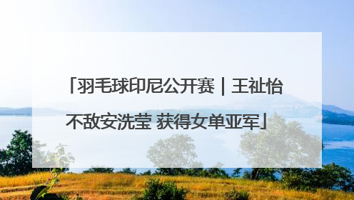 羽毛球印尼公开赛｜王祉怡不敌安洗莹 获得女单亚军