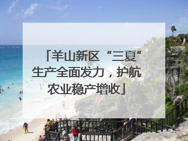 羊山新区“三夏”生产全面发力，护航农业稳产增收