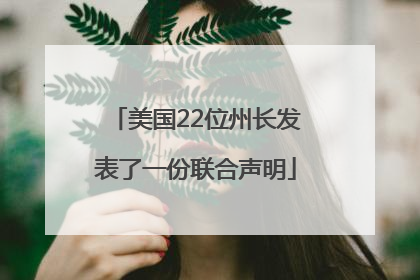美国22位州长发表了一份联合声明