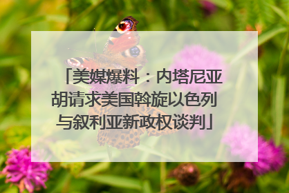 美媒爆料：内塔尼亚胡请求美国斡旋以色列与叙利亚新政权谈判