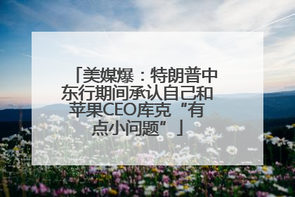 美媒爆：特朗普中东行期间承认自己和苹果CEO库克“有点小问题”