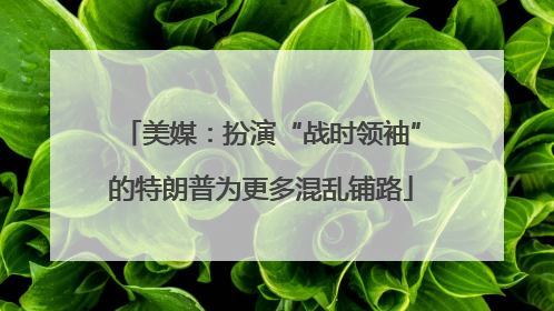 美媒：扮演“战时领袖”的特朗普为更多混乱铺路