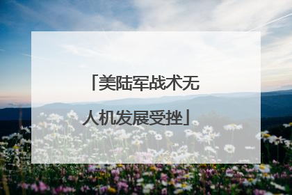 美陆军战术无人机发展受挫