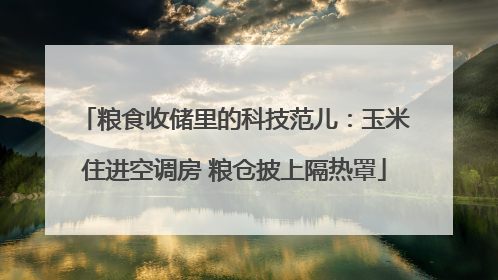 粮食收储里的科技范儿：玉米住进空调房 粮仓披上隔热罩