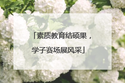素质教育结硕果，学子赛场展风采