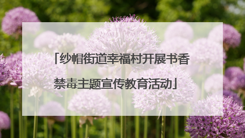 纱帽街道幸福村开展书香禁毒主题宣传教育活动