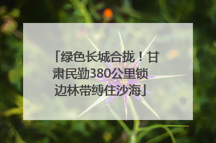 绿色长城合拢！甘肃民勤380公里锁边林带缚住沙海