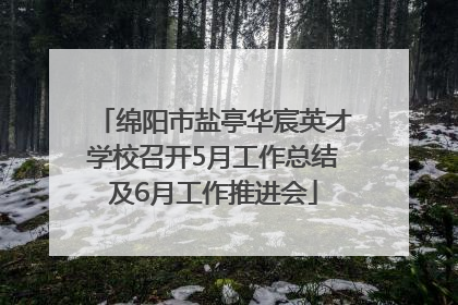 绵阳市盐亭华宸英才学校召开5月工作总结及6月工作推进会