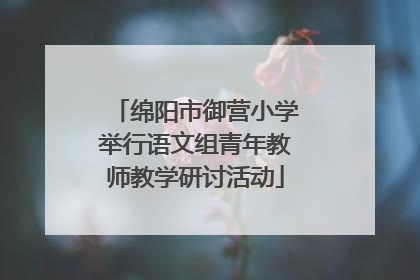 绵阳市御营小学举行语文组青年教师教学研讨活动