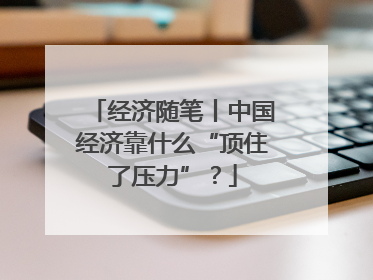 经济随笔丨中国经济靠什么“顶住了压力”？