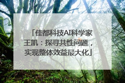 佳都科技AI科学家王凯：探寻共性问题，实现整体效益最大化