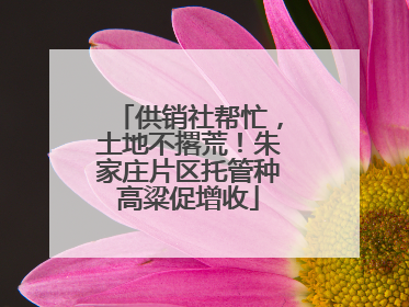 供销社帮忙，土地不撂荒！朱家庄片区托管种高粱促增收