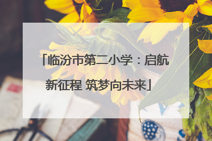 临汾市第二小学：启航新征程 筑梦向未来