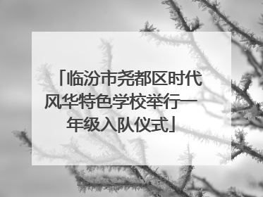 临汾市尧都区时代风华特色学校举行一年级入队仪式