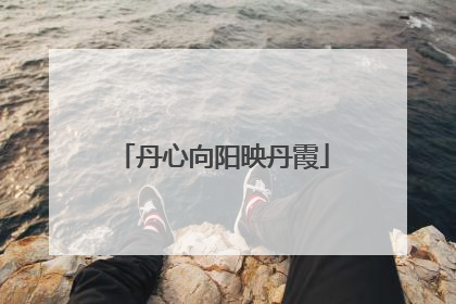 丹心向阳映丹霞