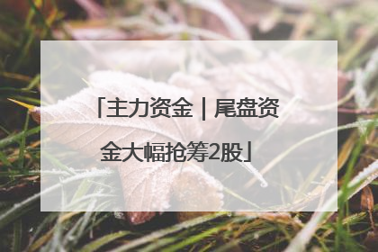主力资金｜尾盘资金大幅抢筹2股