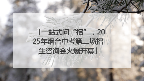 一站式问“招”，2025年烟台中考第二场招生咨询会火爆开幕