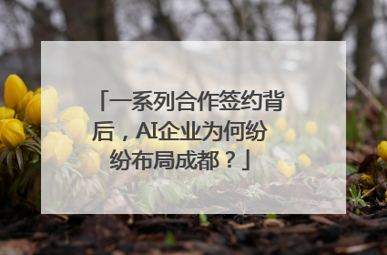 一系列合作签约背后，AI企业为何纷纷布局成都？