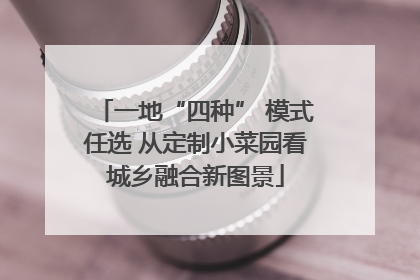 一地“四种” 模式任选 从定制小菜园看城乡融合新图景