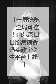 一屏统览，全局可控！山东港口日照港粮食码头数字孪生平台上线