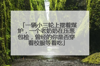 一辆小三轮上摆着煤炉，一个老奶奶在压葱包桧，曾经的你是否穿着校服等着吃