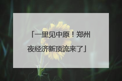 一里见中原！郑州夜经济新顶流来了