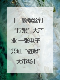 一颗螺丝钉“拧紧”大产业 一张电子凭证“链起”大市场