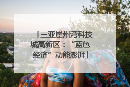 三亚崖州湾科技城高新区：“蓝色经济”动能澎湃