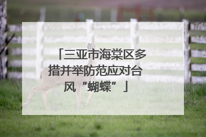 三亚市海棠区多措并举防范应对台风“蝴蝶”