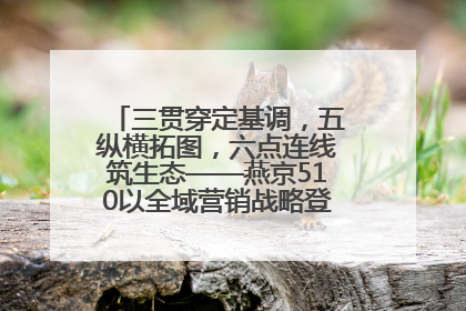 三贯穿定基调，五纵横拓图，六点连线筑生态——燕京510以全域营销战略登顶行业IP新高度