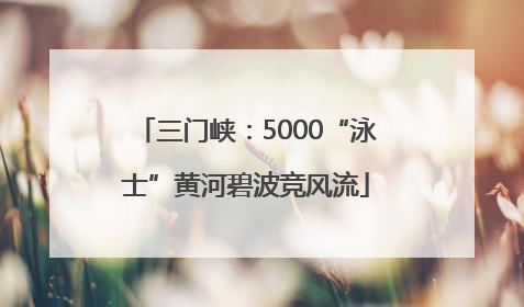 三门峡：5000“泳士”黄河碧波竞风流
