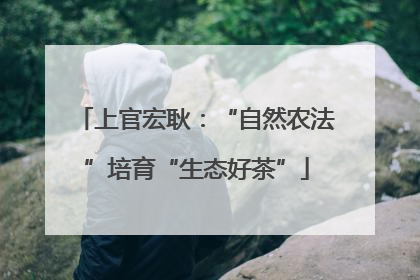上官宏耿：“自然农法”培育“生态好茶”
